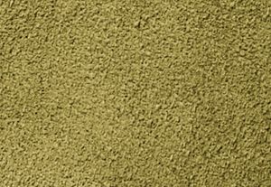PISTACHIO