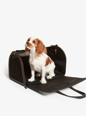 Small Logo Stripe Pet Travel Carrier