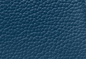 30H1GV6T2T-2198_swatch