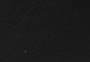 NOIR