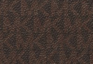 BRONZE/NOISETTE