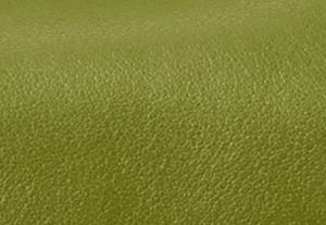 MEADOW GREEN