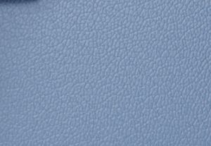 FRENCH BLUE