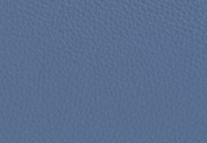 FRENCH BLUE