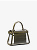 Whitney Mini Clear and Leather Satchel image number 2