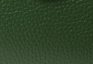 VERDE AMAZZONIA