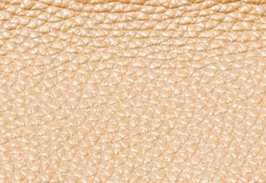 31F2BCBS3B-0220_swatch