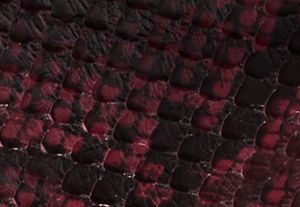 MERLOT