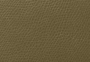 VERDE SAFARI