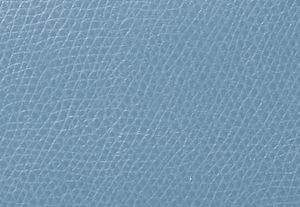 CHAMBRAY