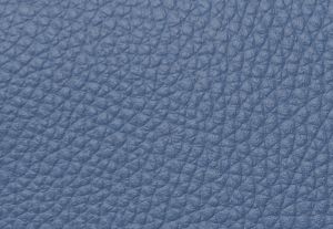 BLEU DE FRANCE MULTI