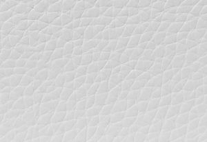 OPTIC WHITE
