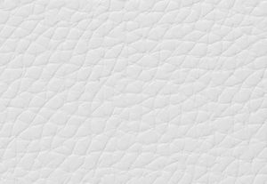 OPTIC WHITE