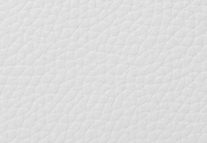 OPTIC WHITE