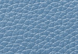 FRENCH BLUE