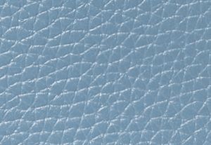 CHAMBRAY