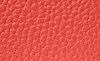 SPICED CORAL