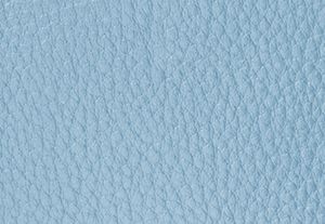 CHAMBRAY
