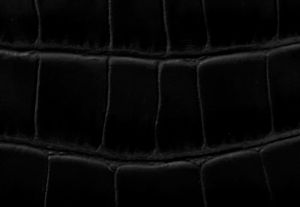 NOIR