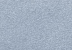 PALE BLUE