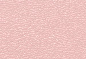 POWDER BLUSH