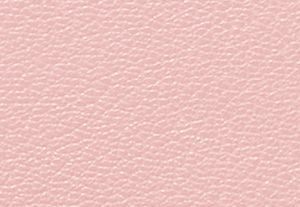 POWDER BLUSH