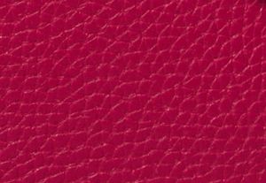 DK RASPBERRY