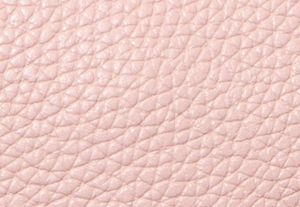 ROS&Aacute;CEO POLVORIENTO