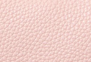 ROS&Aacute;CEO POLVORIENTO