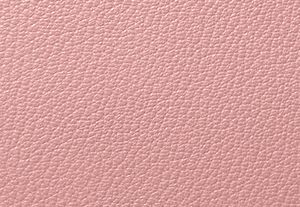 POWDER BLUSH