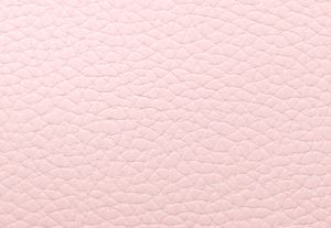 ROS&Aacute;CEO POLVORIENTO