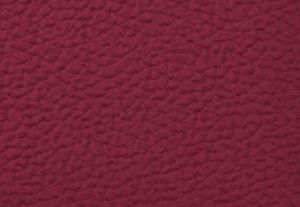 DK RASPBERRY