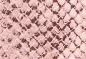 ROSÁCEO POLVORIENTO