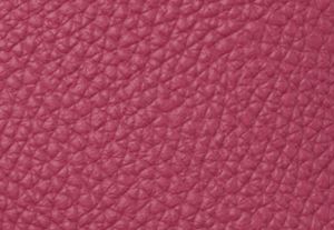 DK RASPBERRY