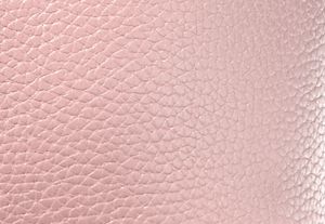 ROS&Aacute;CEO EMPOLVADO