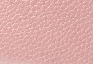 POWDER BLUSH