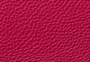 DK RASPBERRY