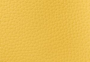 DAISY YELLOW