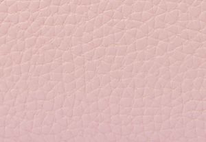 ROSÁCEO POLVORIENTO MULTICOLOR