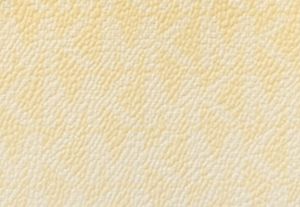 DAISY YELLOW