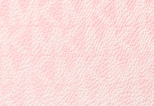 POWDER BLUSH