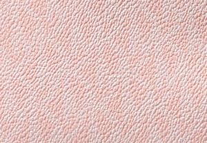 LT POWDER BLUSH