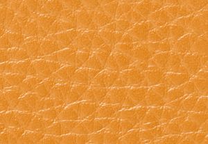 POP ORANGE MULTI