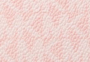 POWDER BLUSH