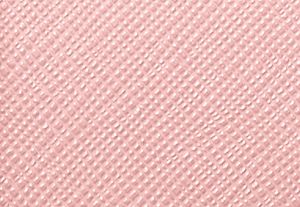 POWDER BLUSH