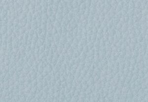 OC&Eacute;ANO P&Aacute;LIDO