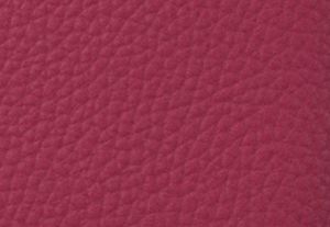 DK RASPBERRY