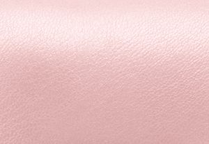 ROS&Aacute;CEO POLVORIENTO