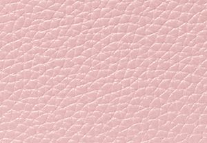 POWDER BLUSH