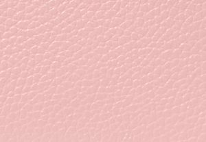 POWDER BLUSH